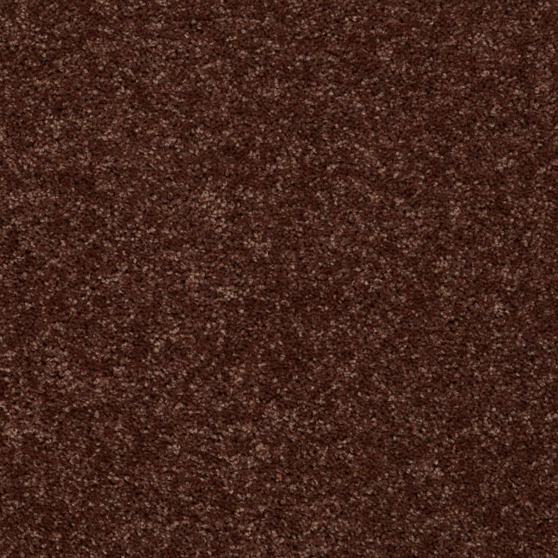 Shaw Floors Roll Special Qs216 Flower Pot