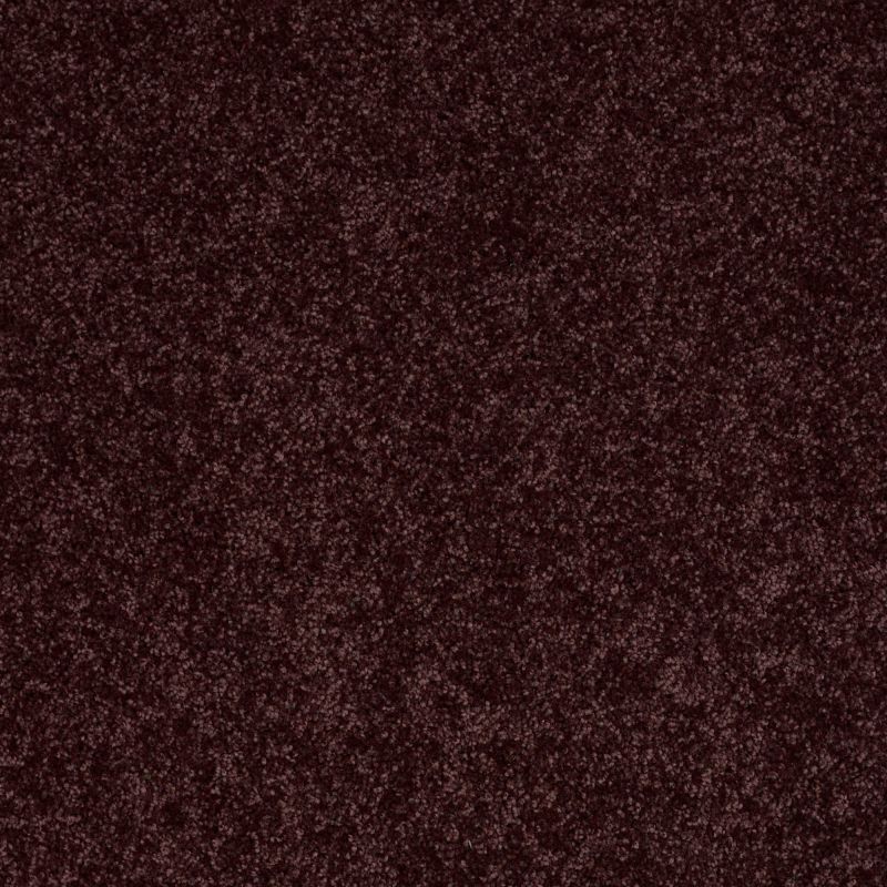Shaw Floors Roll Special Qs232 Royal Purple