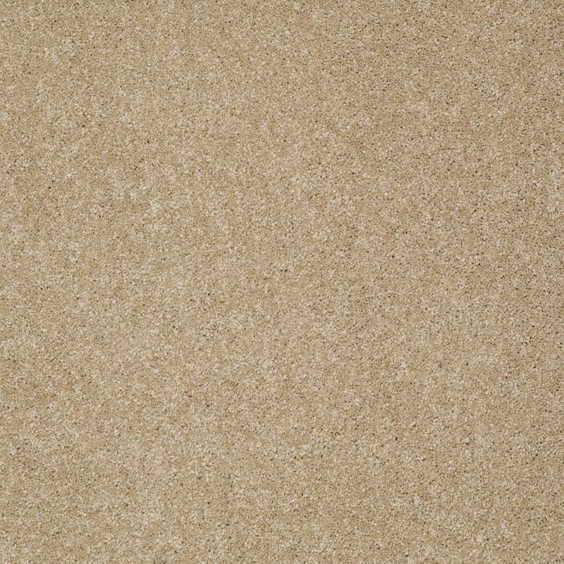 Shaw Floors Roll Special Qs529 Cobblestone