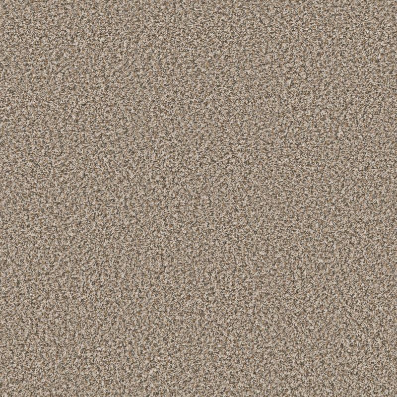 Shaw Floors Simply The Best Qs850 Sugar Cookie