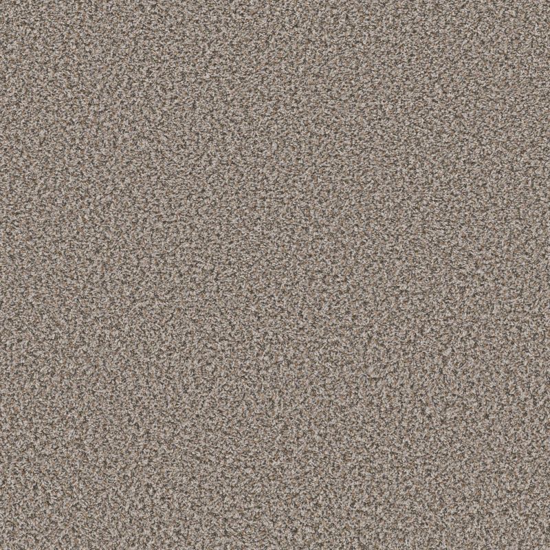 Shaw Floors Simply The Best Qs850 Dolphin
