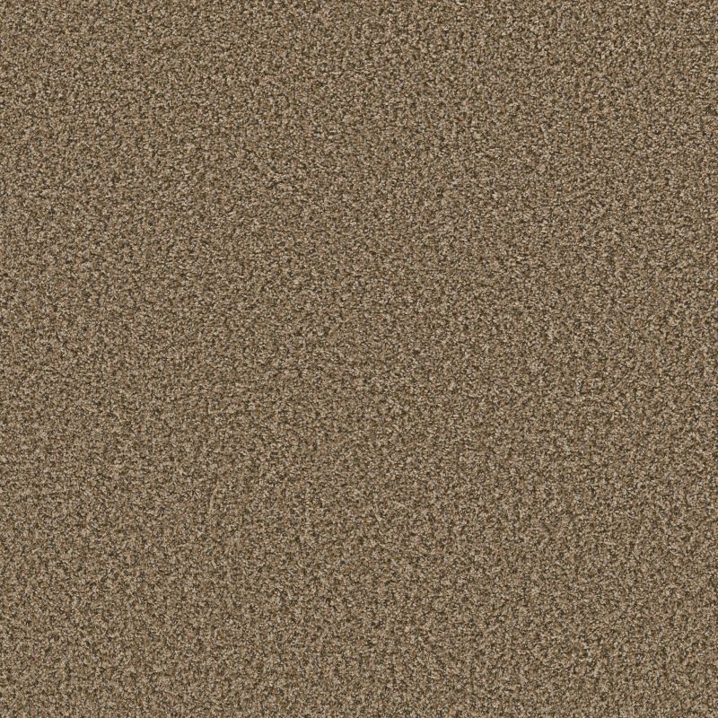 Shaw Floors Simply The Best Qs850 Desert