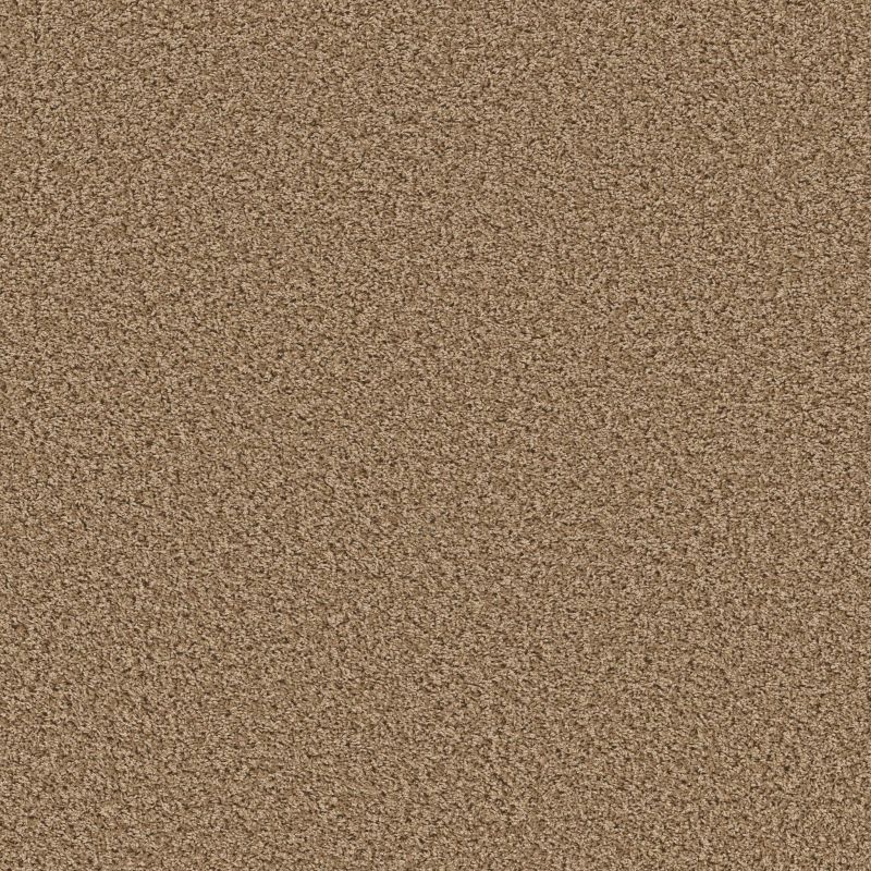 Shaw Floors Simply The Best Qs851 Clay