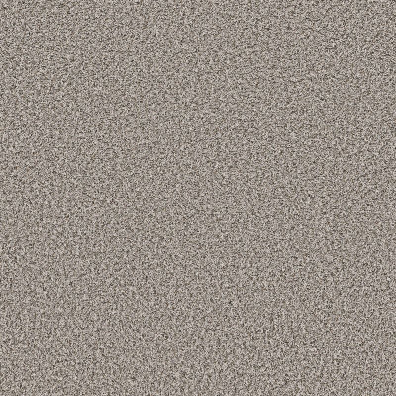 Shaw Floors Roll Special Qs852 Exposed Beam