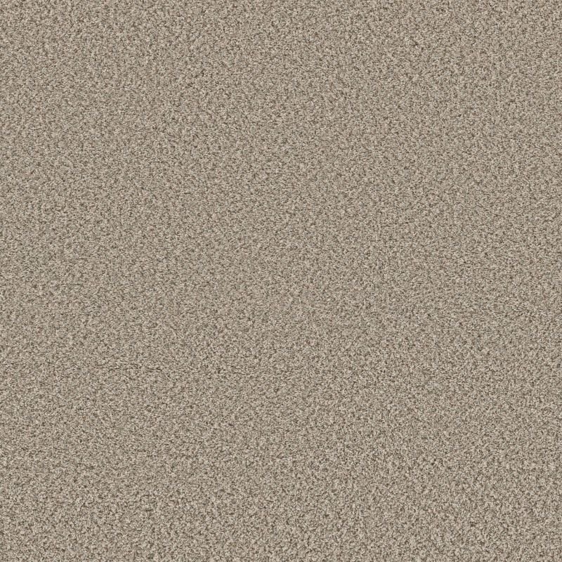 Shaw Floors Roll Special Qs853 Flax