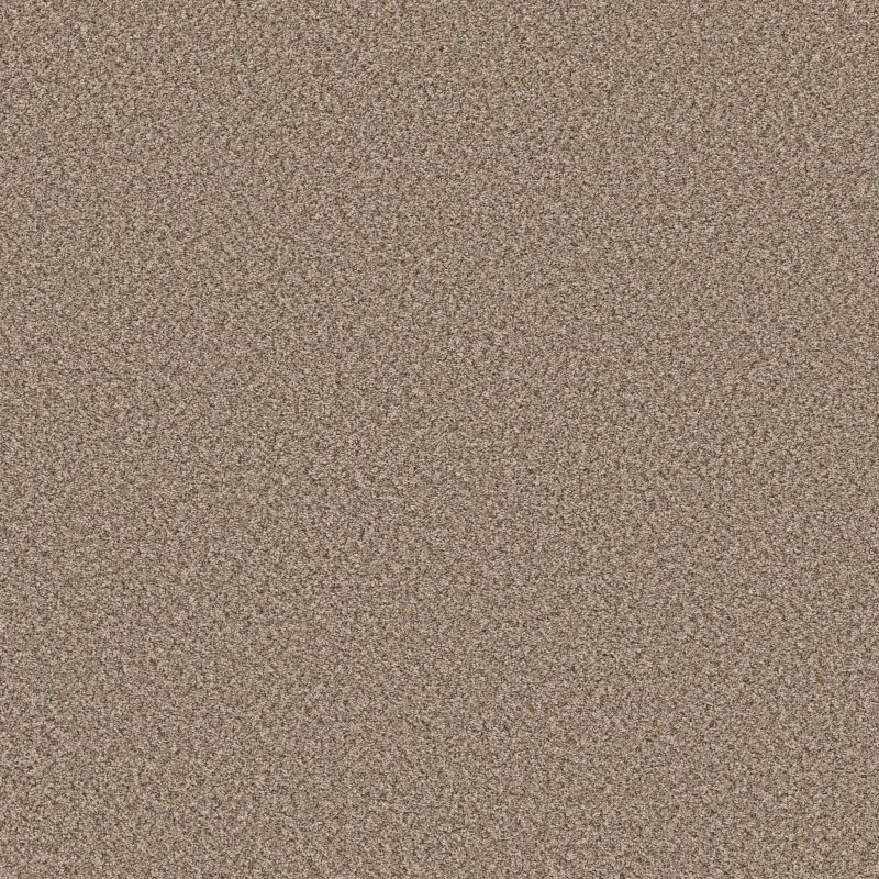 Shaw Floors Roll Special Qs853 Blond Wood