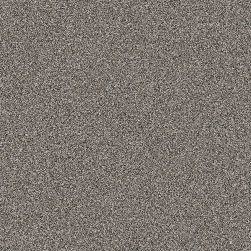 Shaw Floors Roll Special Qs853 Washed Suede