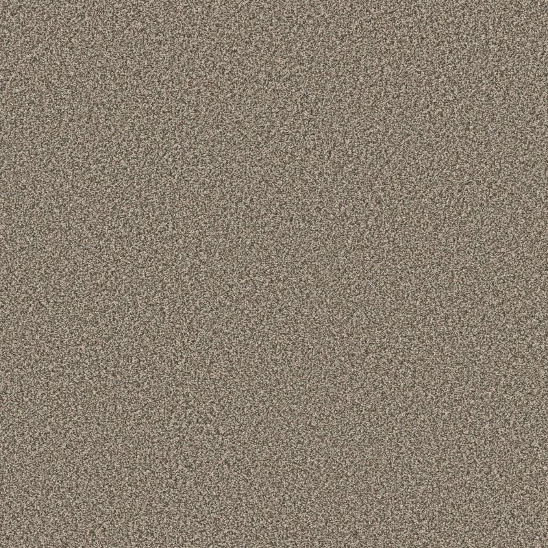 Shaw Floors Roll Special Qs854 Pecan Sandie