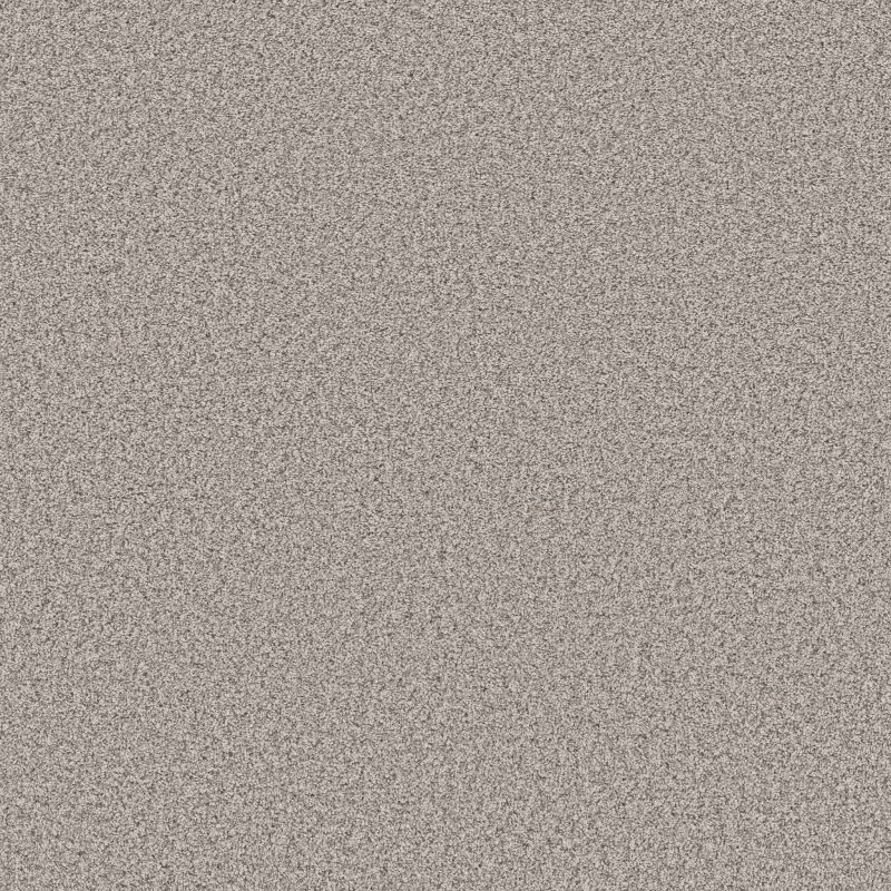 Shaw Floors Roll Special Qs855 Rain Drop