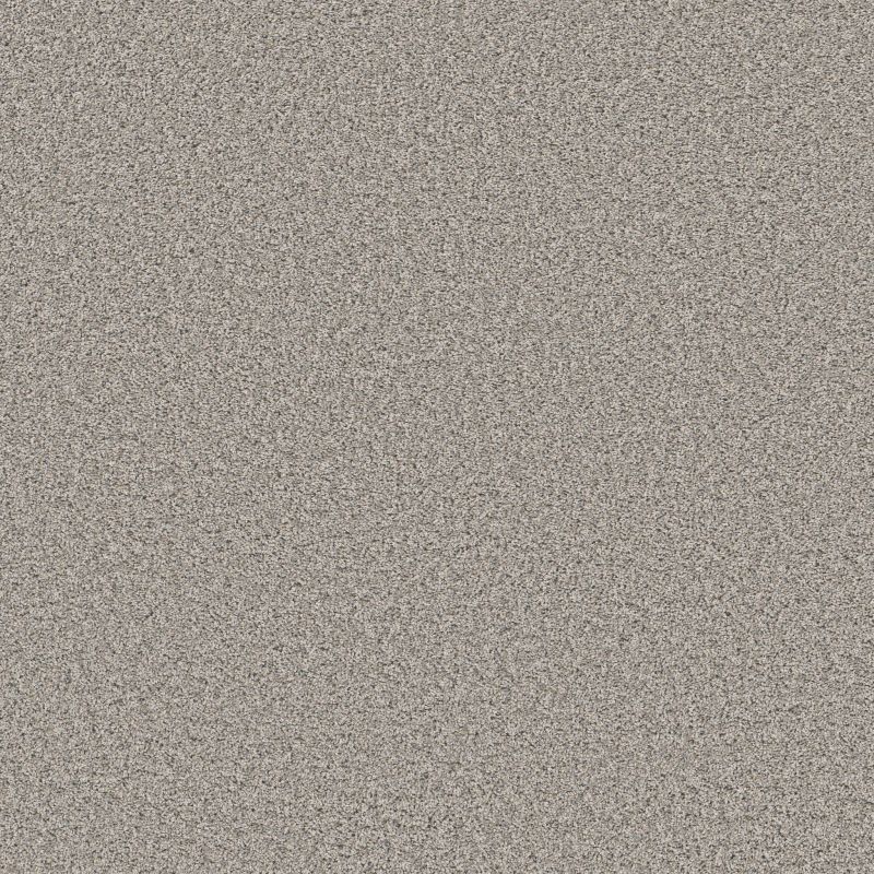Shaw Floors Roll Special Qs855 Fog