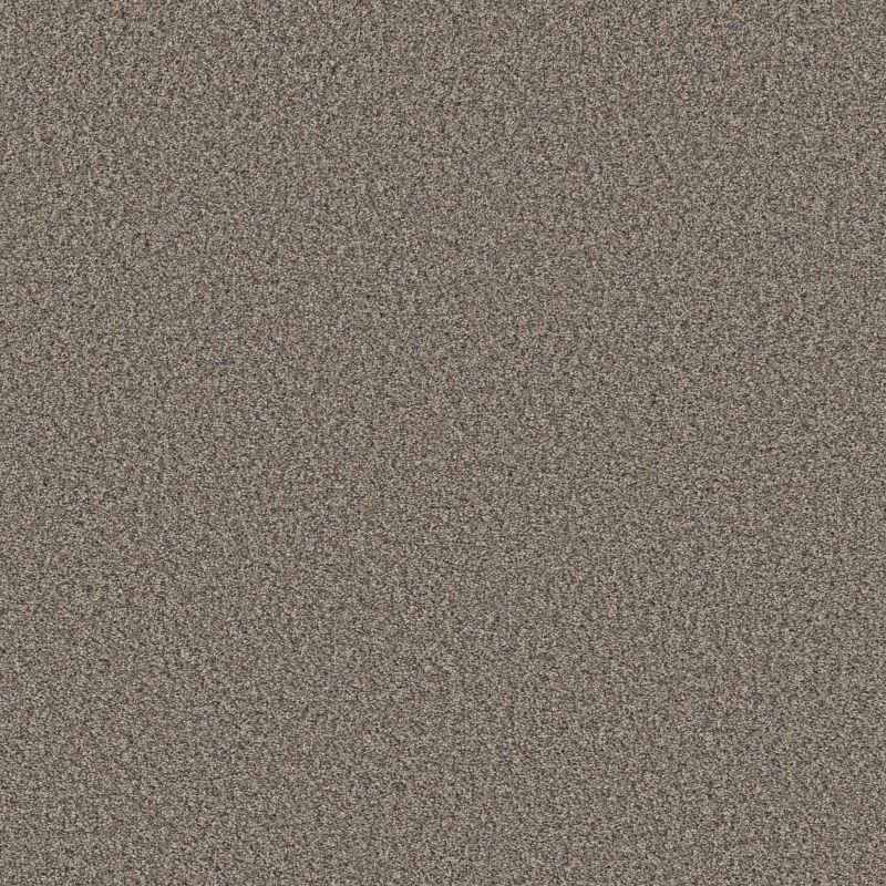 Shaw Floors Simply The Best Qs858 Jamestown