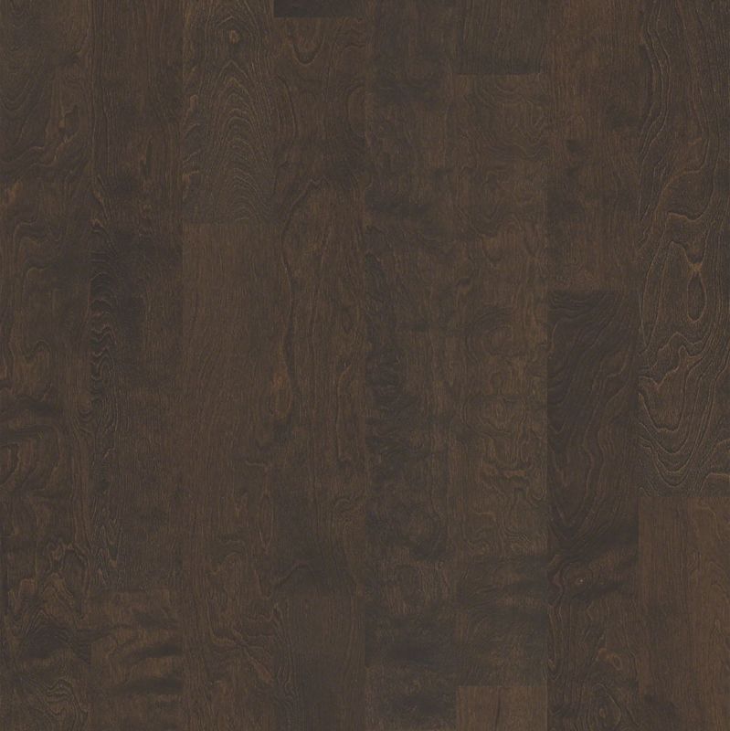 Shaw Floors SFA Tallahassee Bayfront