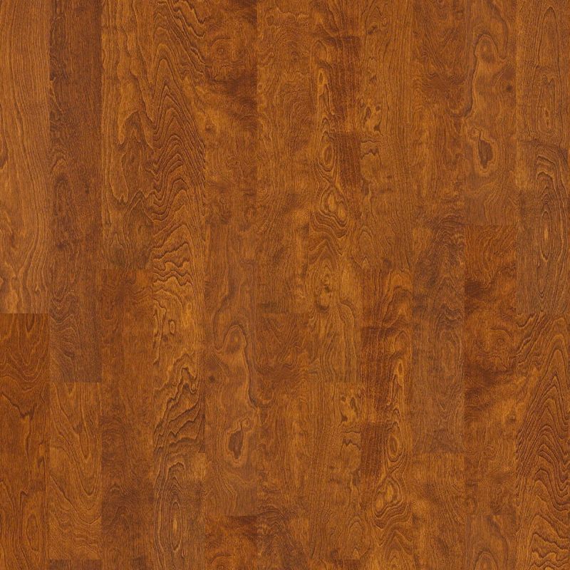 Shaw Floors SFA Tallahassee Burnside