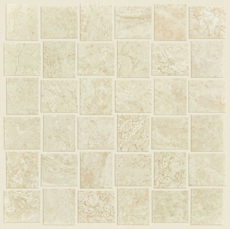Shaw Floors SFA Vision Polished Mosaic Allure