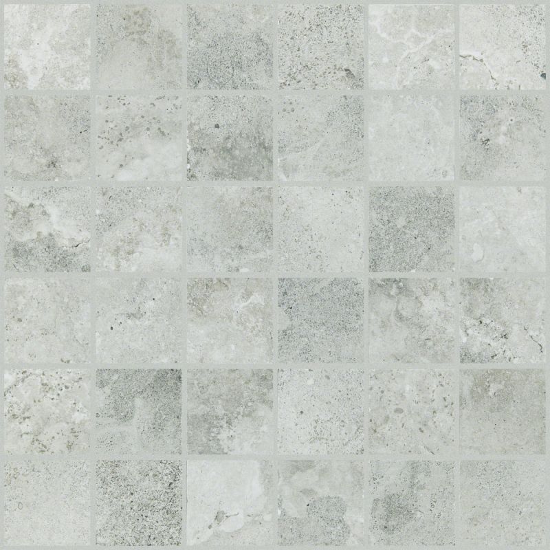 Shaw Floors SFA Form Mosaic Evolve