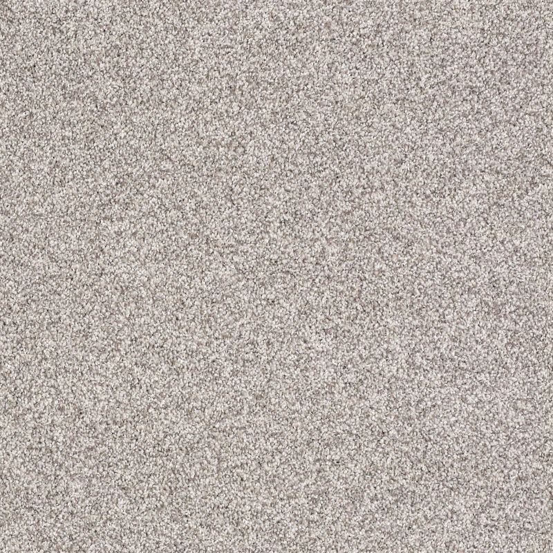 Shaw Floors Shaw On Shelf Salt Creek Beach Silver Charm