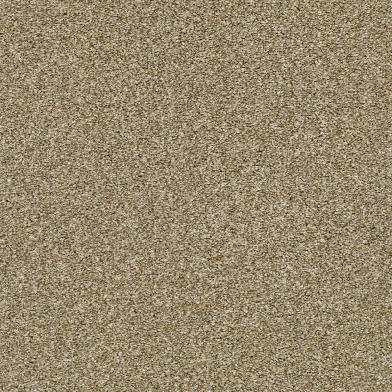 Shaw Floors Shaw On Shelf Marina II Dried Clay
