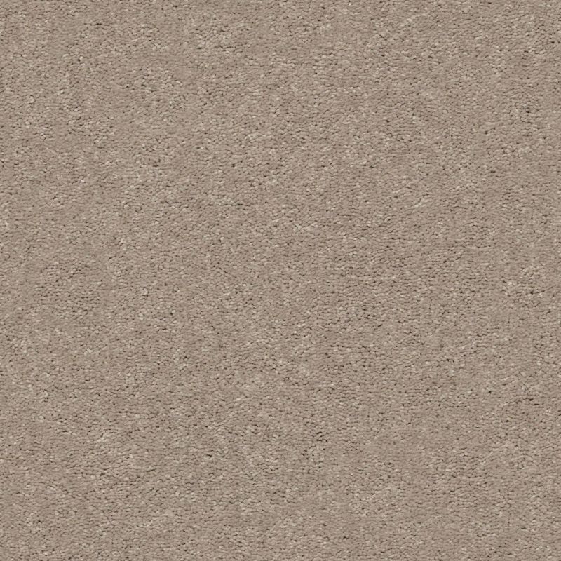 Shaw Floors Shaw On Shelf Topanga Beach II Pebble Path