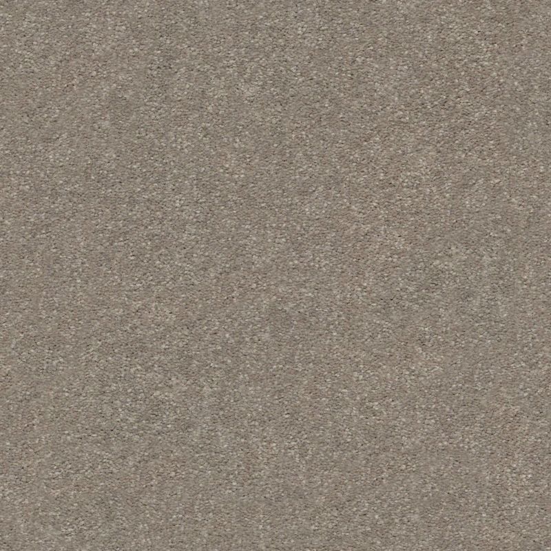 Shaw Floors Shaw On Shelf Topanga Beach II Smooth Taupe