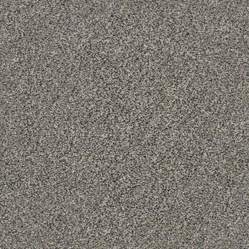 Shaw Floors Shaw On Shelf Seabright Kidskin