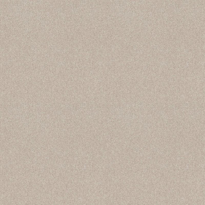 Shaw Floors Seacliff I Champagne Toast