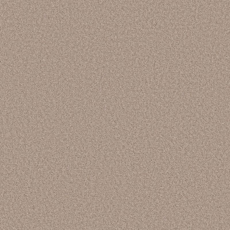 Shaw Floors Seacliff I Heirloom