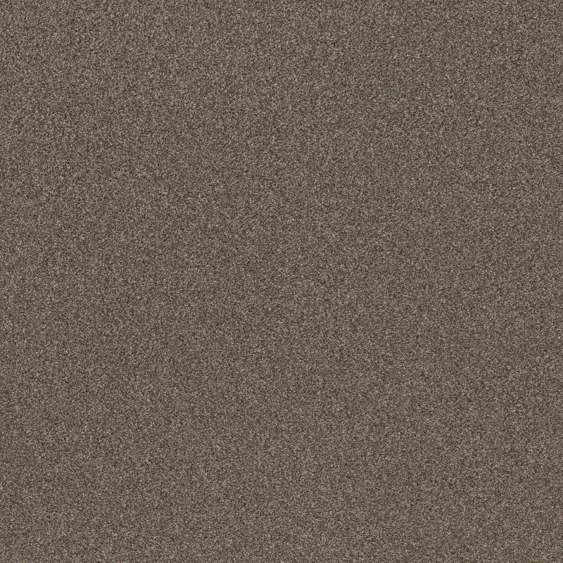 Shaw Floors Muscle Shoals City Scape