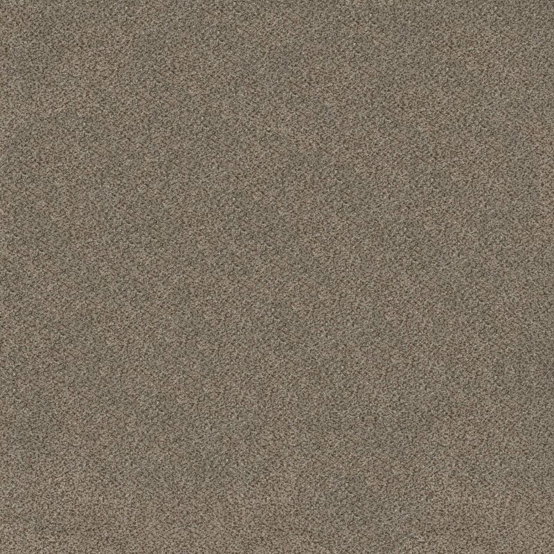 Shaw Floors Muscle Shoals Truffle
