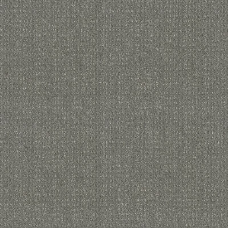 Shaw Floors El Capitan I Grey Fox