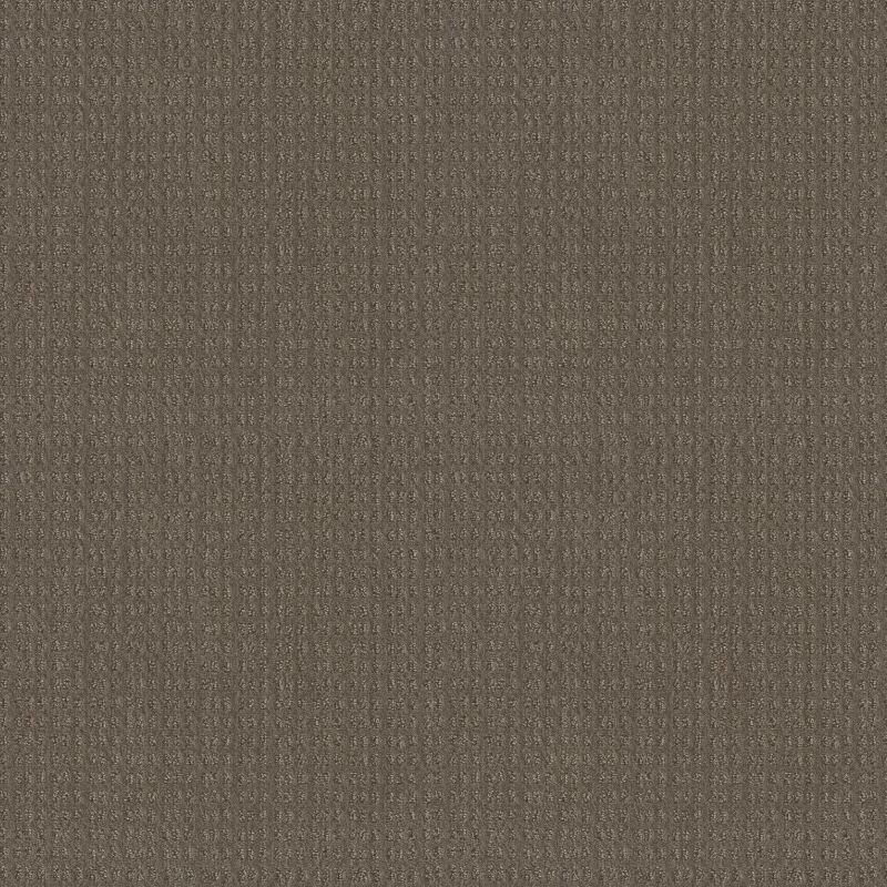 Shaw Floors El Capitan I Ridgeview