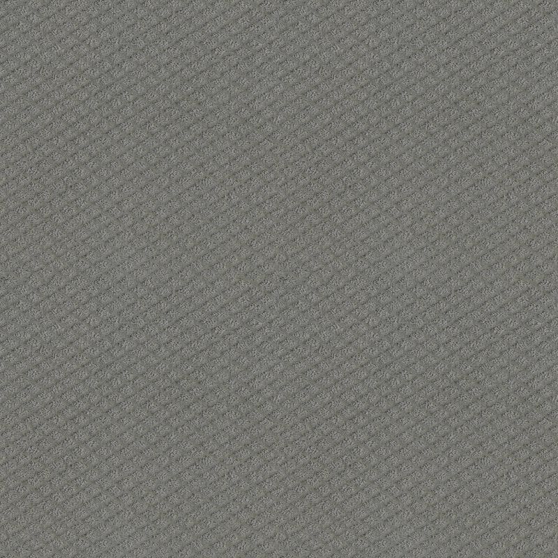 Shaw Floors El Capitan II Grey Fox