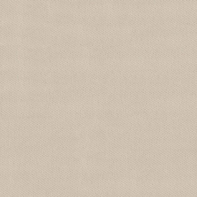 Shaw Floors El Capitan III Washed Linen