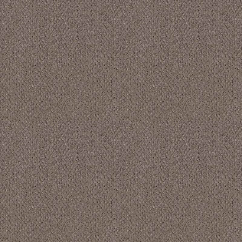 Shaw Floors El Capitan III Ridgeview