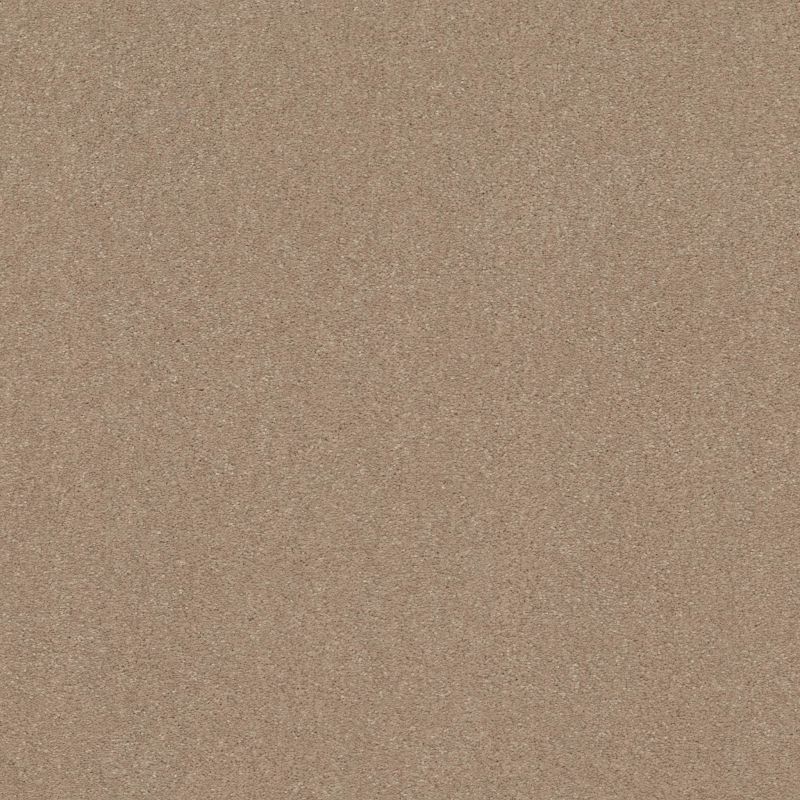 Shaw Floors Point Sur II 12 Raw Lumber