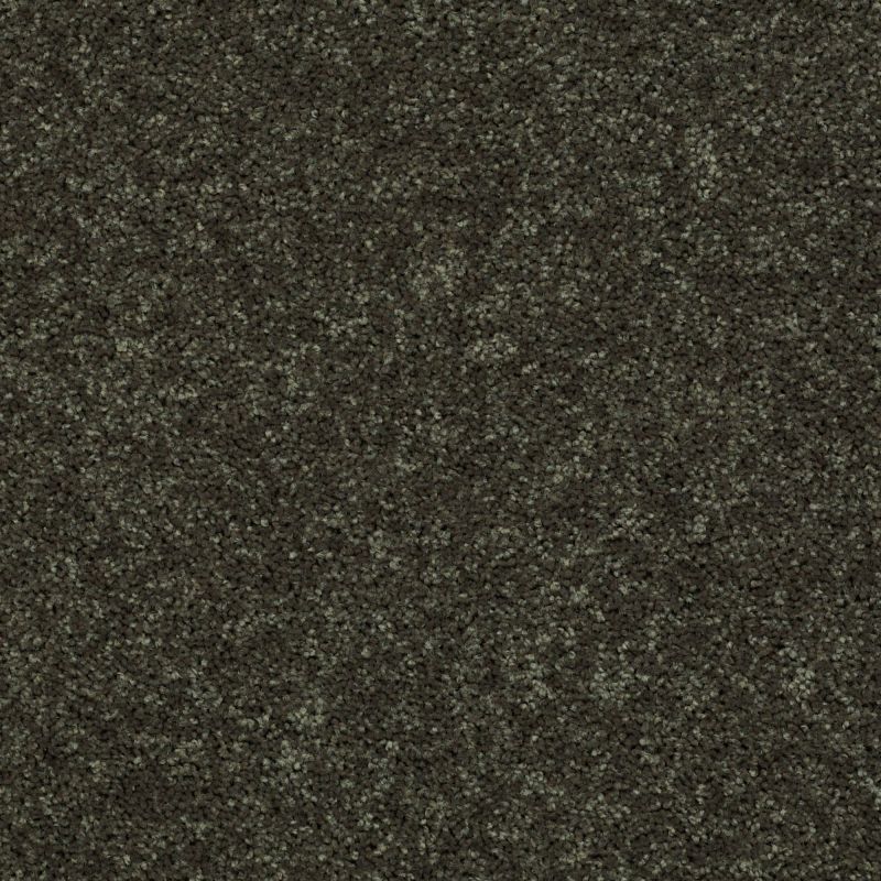 Shaw Floors Shaw On Shelf North Shore III Garden Grove