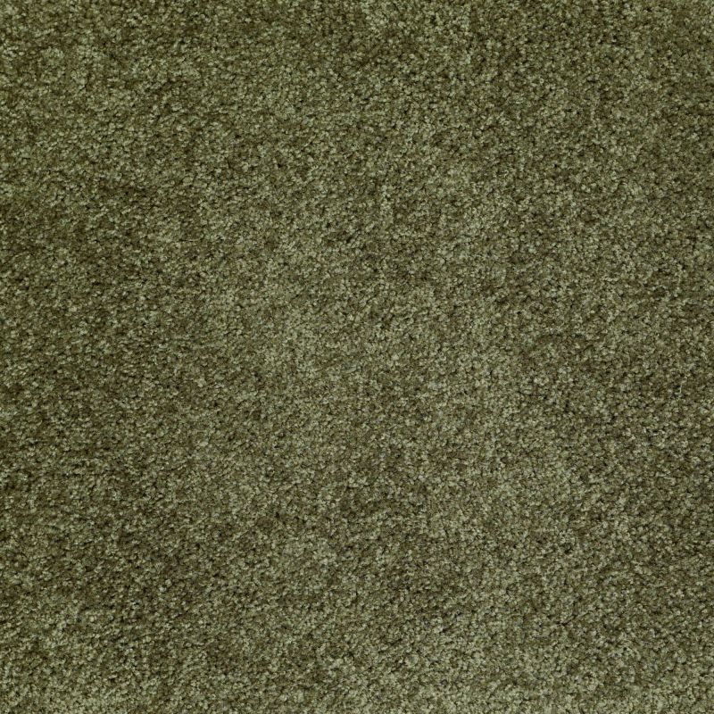 Shaw Floors Silver Strand Central Park