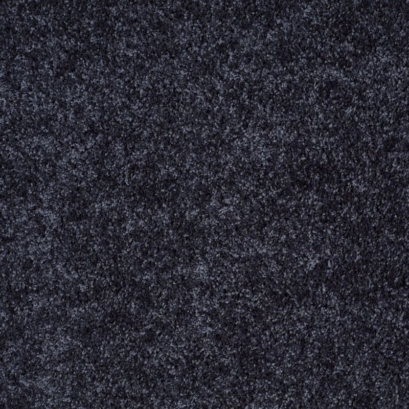 Shaw Floors Silver Strand Summer Night