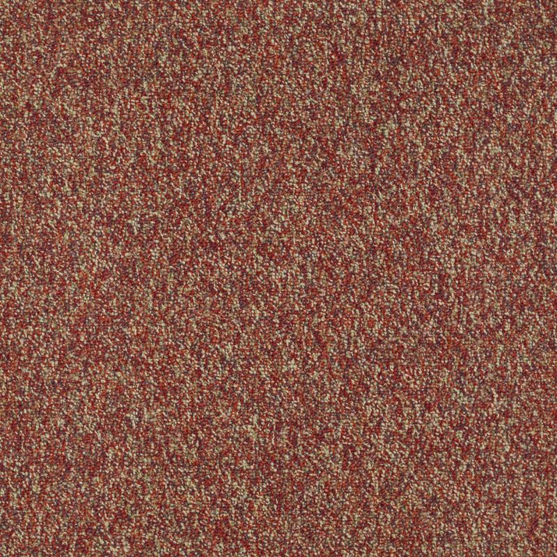 Philadelphia Commercial Special Project Commercial Sp531 Raisinberry