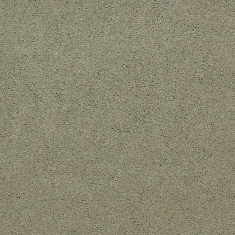 Philadelphia Commercial Special Project Commercial Sp660 Dew Green