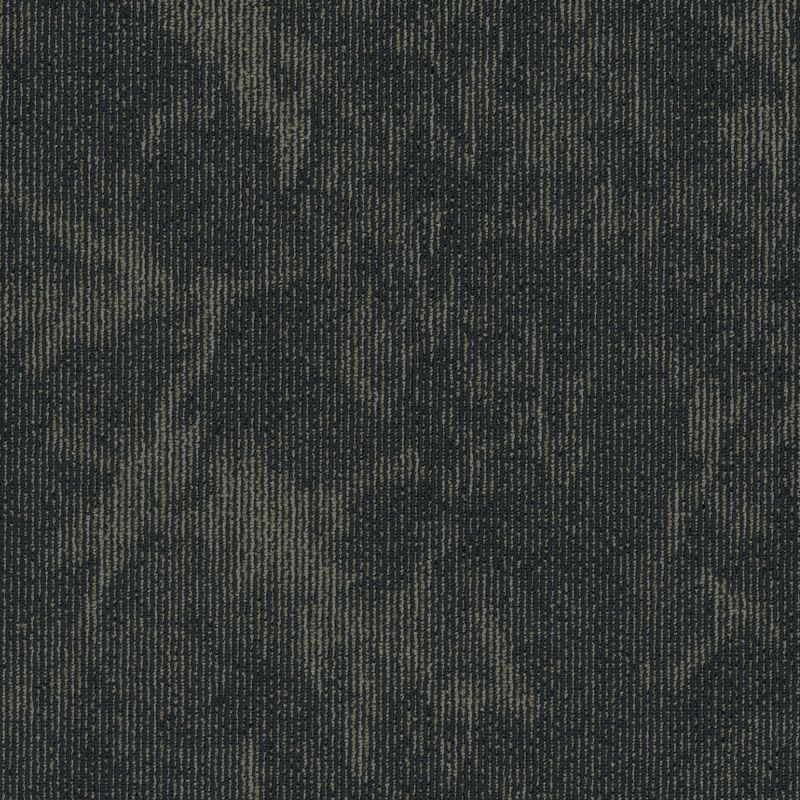 Shaw Floors Special Project Commercial Sp766 Character