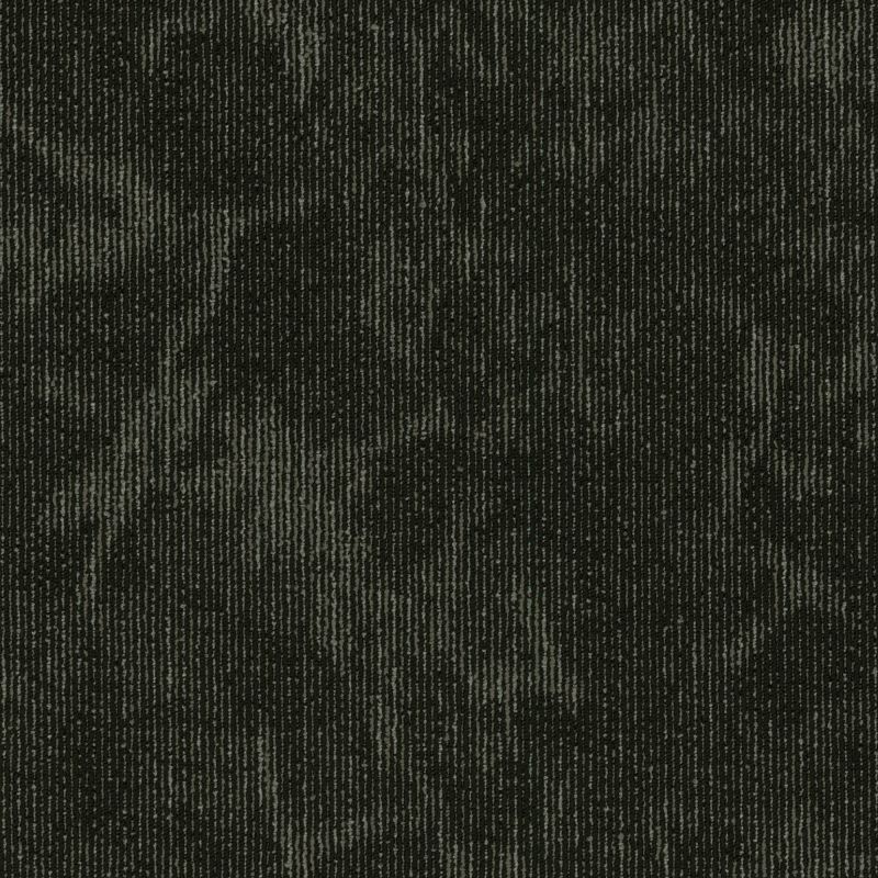 Shaw Floors Special Project Commercial Sp766 Collective