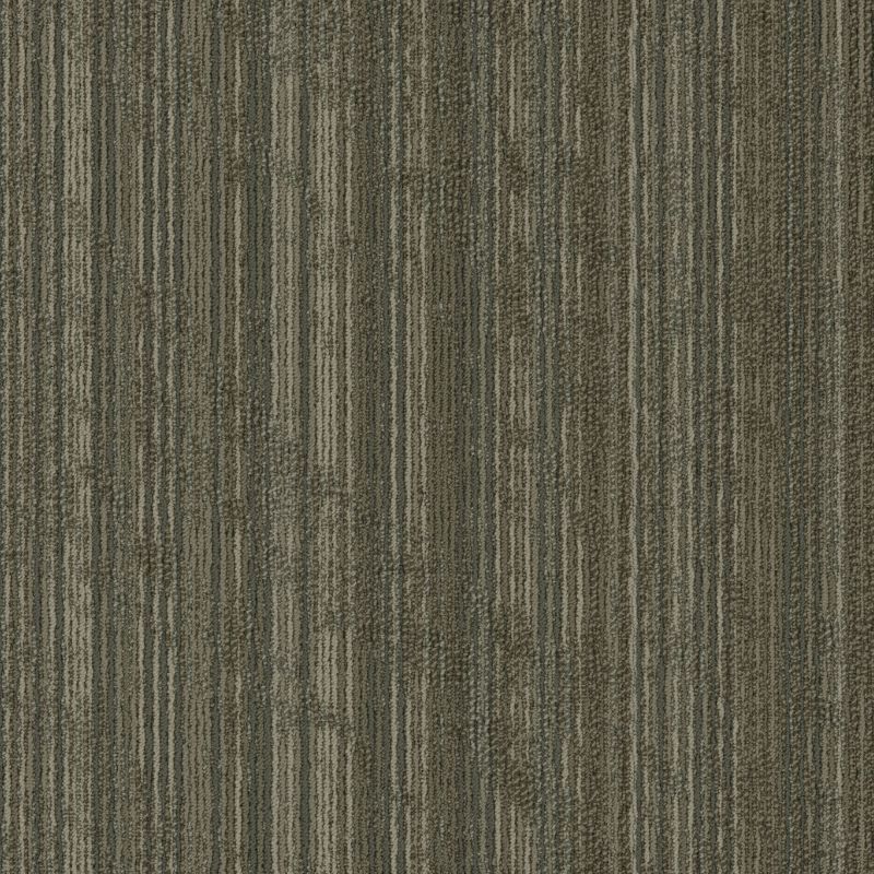 Shaw Floors Special Project Commercial Sp767 Twist