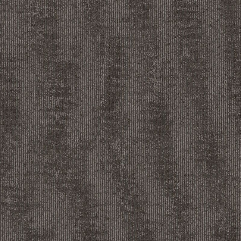 Shaw Floors Sp793 Rightful