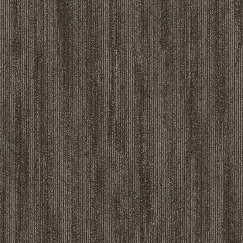 Shaw Floors Special Project Commercial Sp795 Indigenous