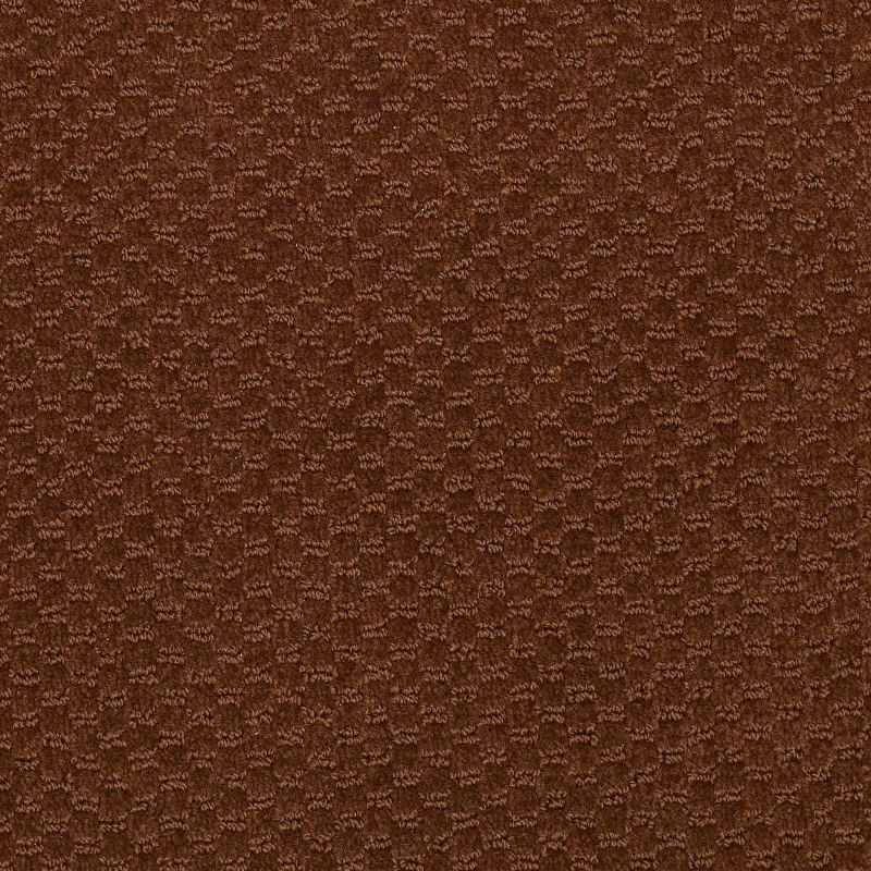 Philadelphia Commercial Special Project Commercial Sp882 Brown Bear