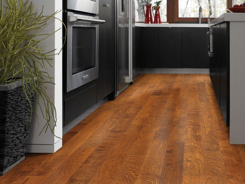 Shaw Floors Shaw Hardwoods Brooksville Burnside