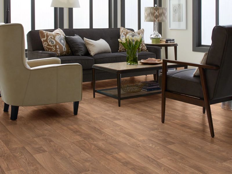Shaw Floors Resilient Residential Heartlands Madison