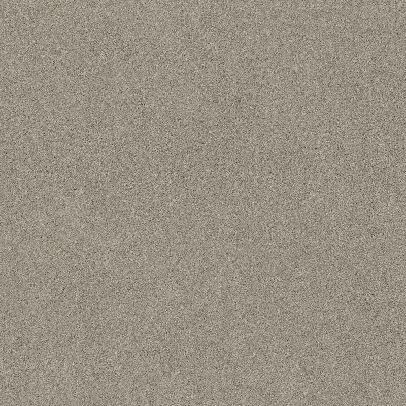 Shaw Floors Value Collections Va107 Frosted Ice