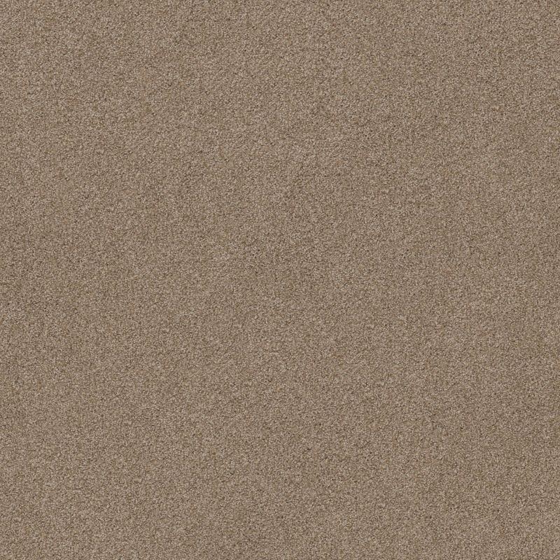 Shaw Floors Value Collections Va107 Sombrero
