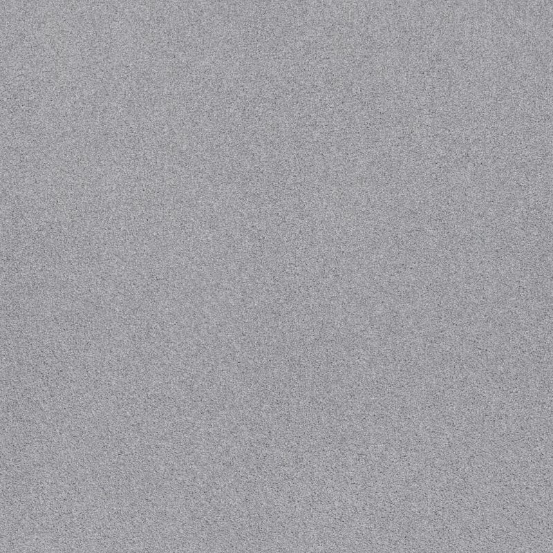Shaw Floors Va111 Wt Silver Strand